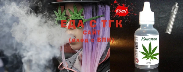 индика Инсар