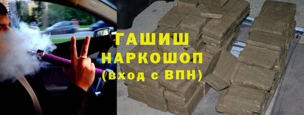 индика Инсар