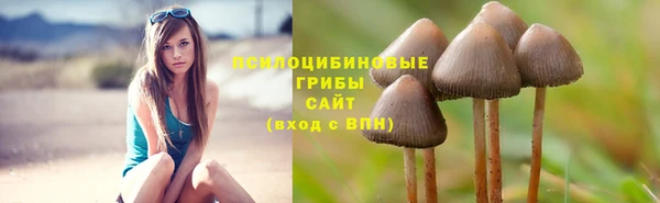 первитин Зеленодольск