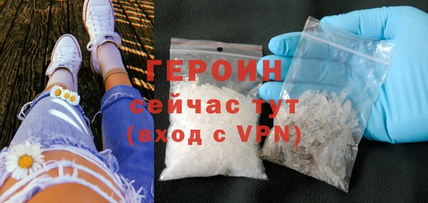 индика Инсар