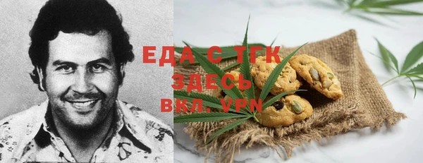 индика Инсар