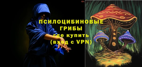 индика Инсар